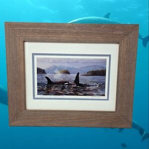 Ed Newbold Orcas In The Salish Sea Dolphin Family Mammal Ocean Life Coastal Vibe